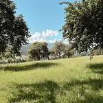Dom wakacyjny Chillhaus Pear Mountain By Aa Homes *