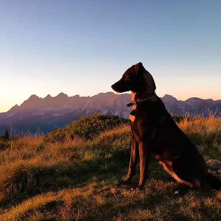 Chillhaus Pear Mountain By Aa Homes Birnberg