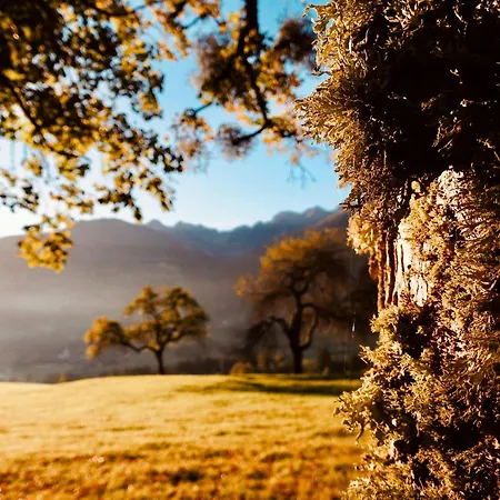 Holiday home Chillhaus Pear Mountain By Aa Homes Birnberg