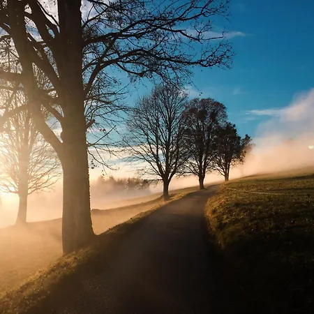 Chillhaus Pear Mountain By Aa Homes * Birnberg