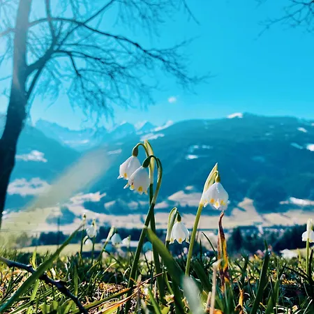 Chillhaus Pear Mountain By Aa Homes Prázdninový dům