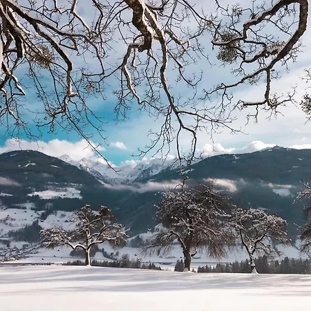 Chillhaus Pear Mountain By Aa Homes * Birnberg