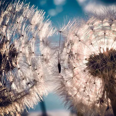 Chillhaus Pear Mountain By Aa Homes 別荘