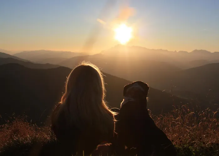 Chillhaus Pear Mountain By Aa Homes Birnberg