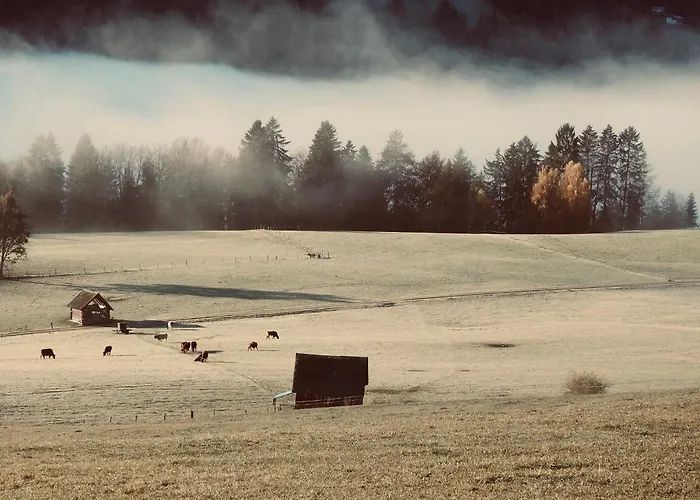 Chillhaus Pear Mountain By Aa Homes Hébergement de vacances